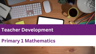 Primary 1 Mathematics Image